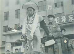 忆1967年清华大学批斗王光