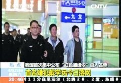 红色通缉令首名落网嫌犯已被刑事