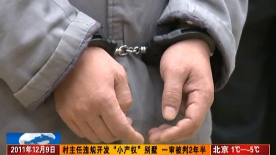 村主任违规开发小产权别墅获刑