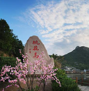 不去桃花岛 哪来桃花运