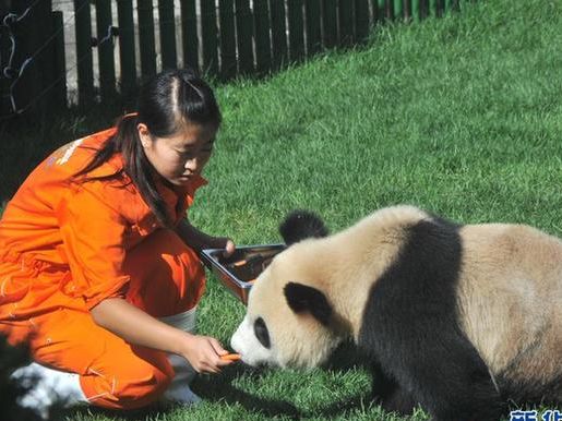 与国宝一起共度中秋佳节